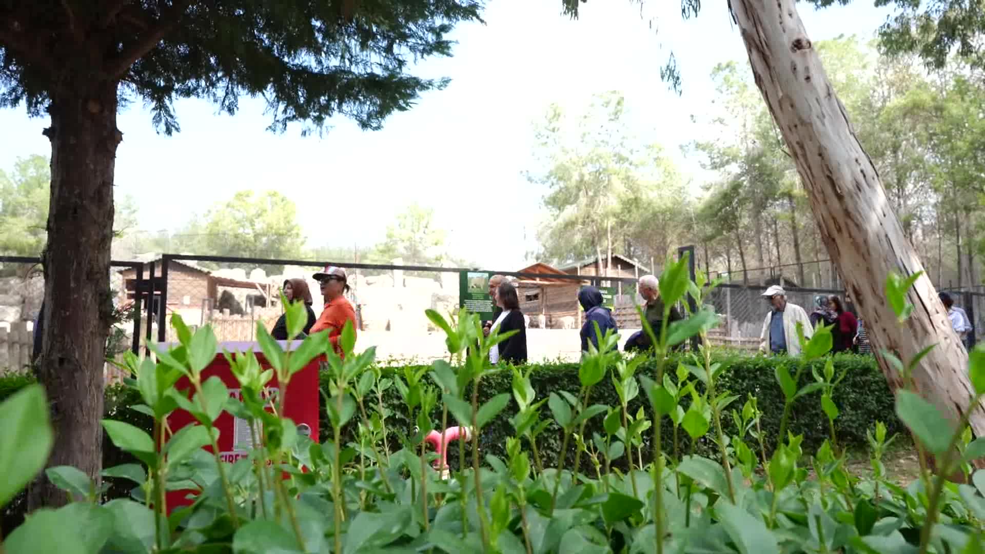 Mersin Büyükşehir Belediyesi, Emekli Evleri ile kentteki yaş almış yurttaşların yanında olmayı sürdürüyor
