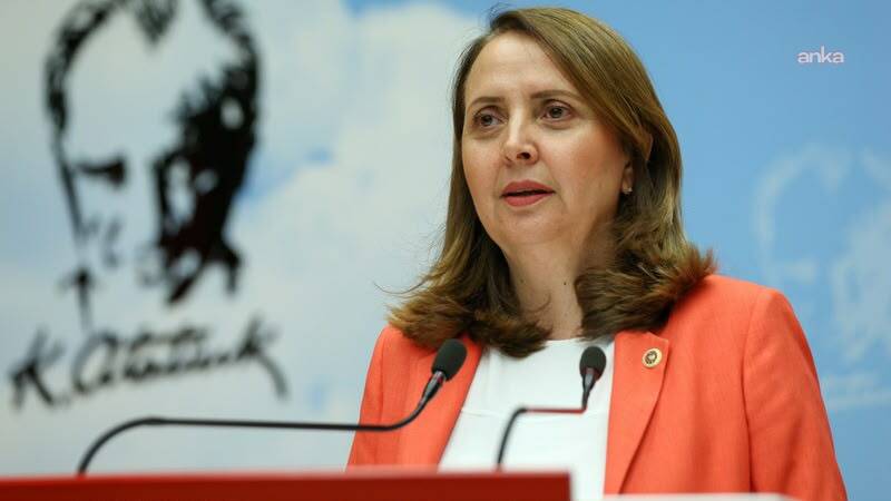 CHP’li Dinçer: “Kadın işsizlik oranımız yüzde 39'lara dayanmış durumda”