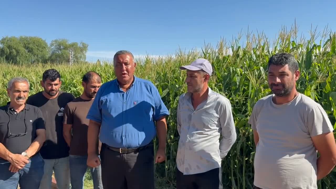 “Destek istemiyoruz; gübreyi, mazotu, elektriği düşürün”