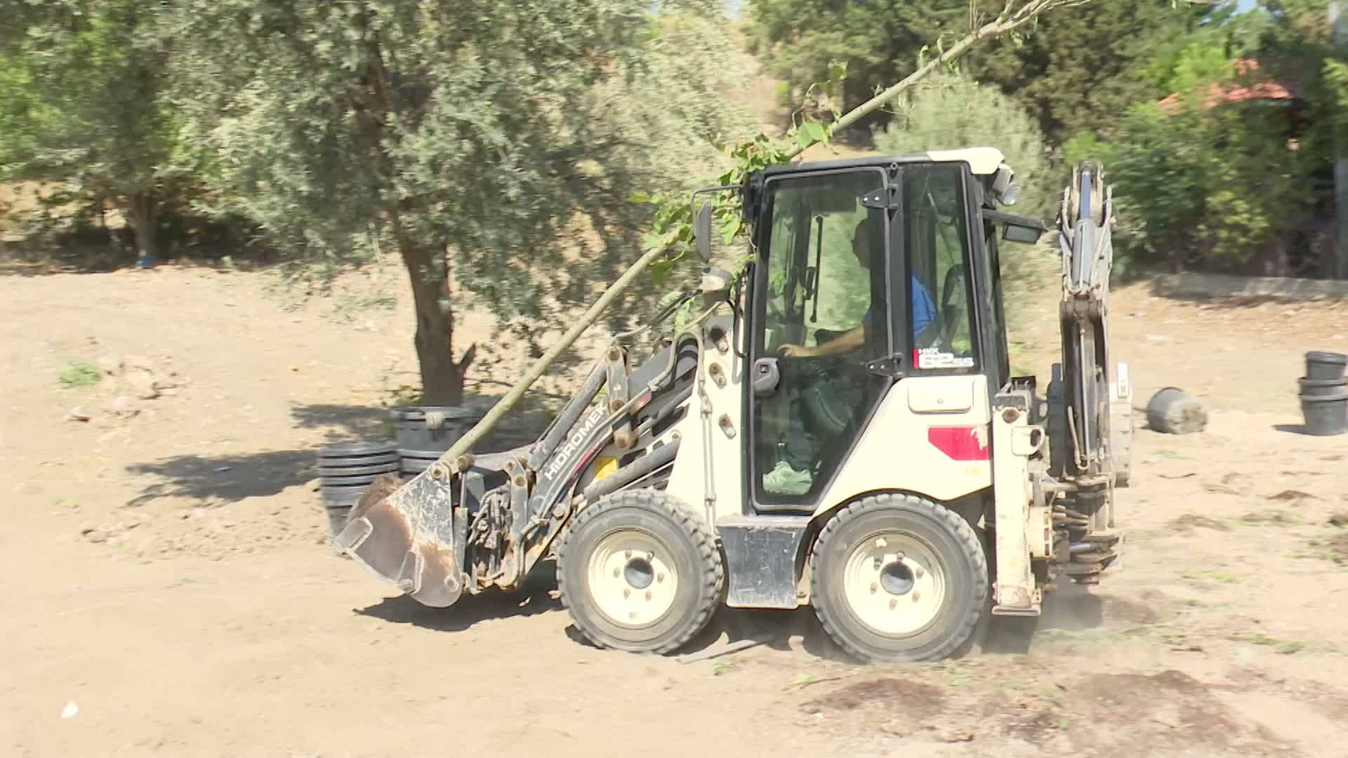 İzmir’in mahalle ruhu “yeşil dönüşümle” canlanıyor