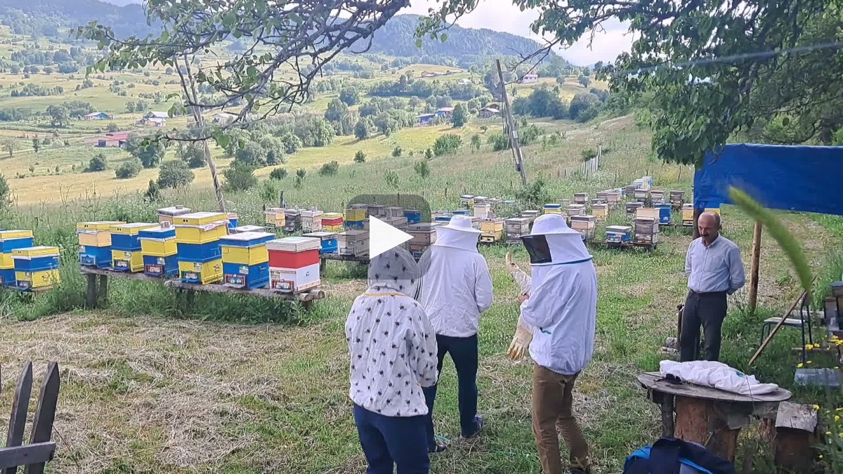 "Şavşat balı dünya kalitesinde ancak marka değeri yok"