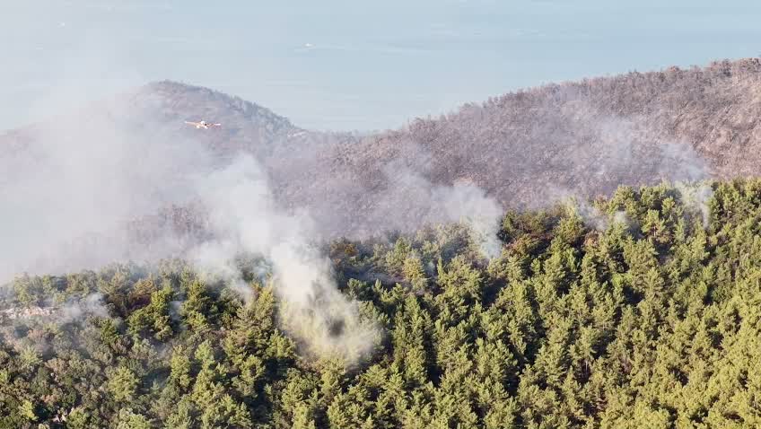 Muğla'daki yangın büyük ölçüde kontrol altına alındı