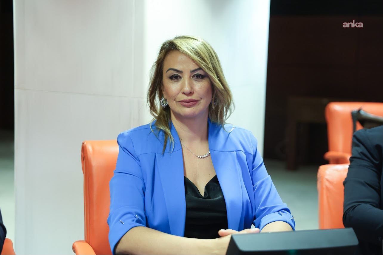 CHP'li Kara'dan İskenderun Limanı'ndaki et kaçakçılığını Meclis gündemine taşıdı
