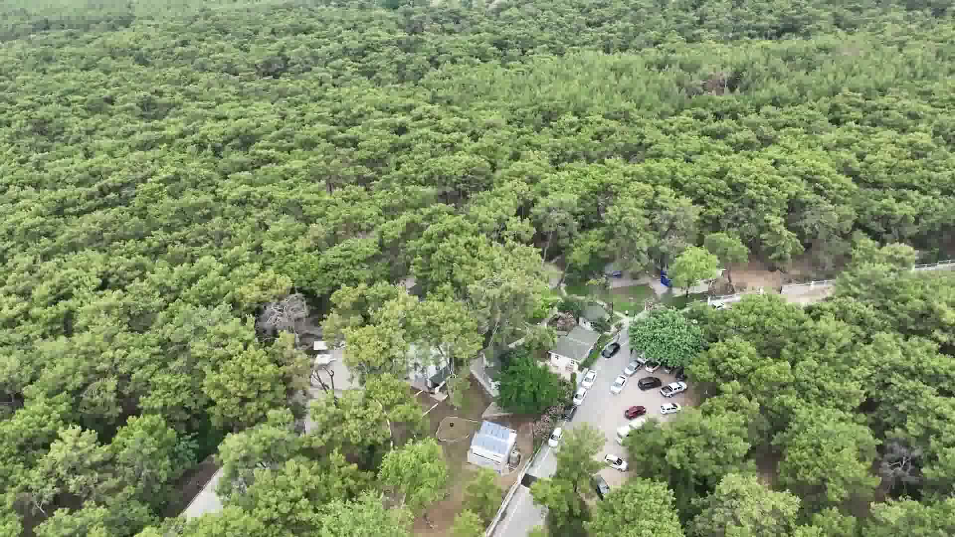 Antalya Büyükşehir Belediyesi Başkan Vekili Özdemir'den 5. Çağdaş Liseli Gençlik Kampı'na ziyaret
