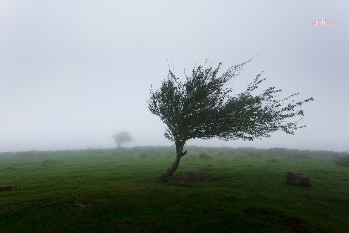 Meteoroloji'den kuvvetli yağış ve rüzgar uyarısı