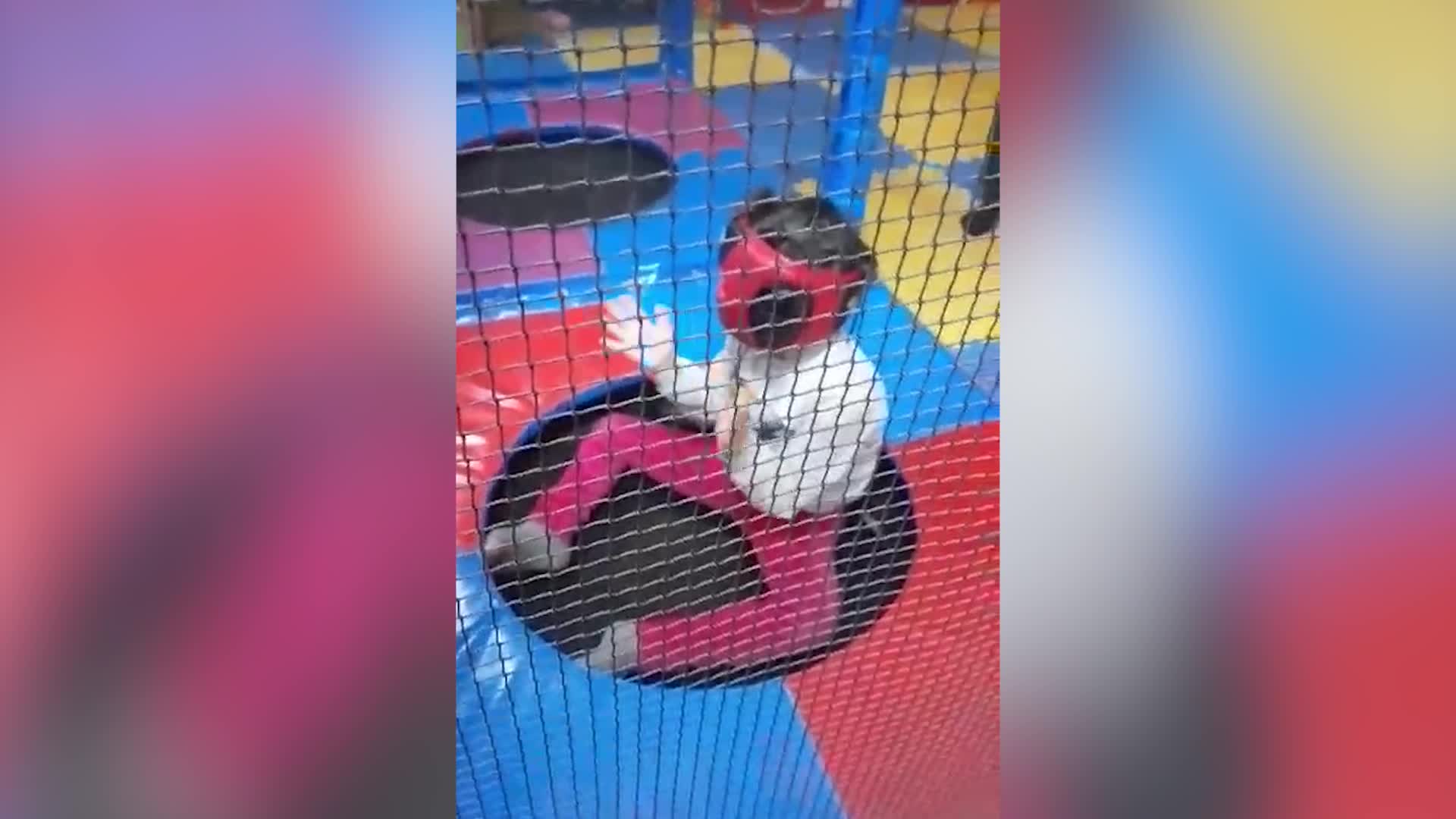 "Özel çocuklar" ve annelerinin hayatı, İzmir Büyükşehir Belediyesi Yurdoğlu Engelli Çalışmaları Merkezi’nde değişiyor