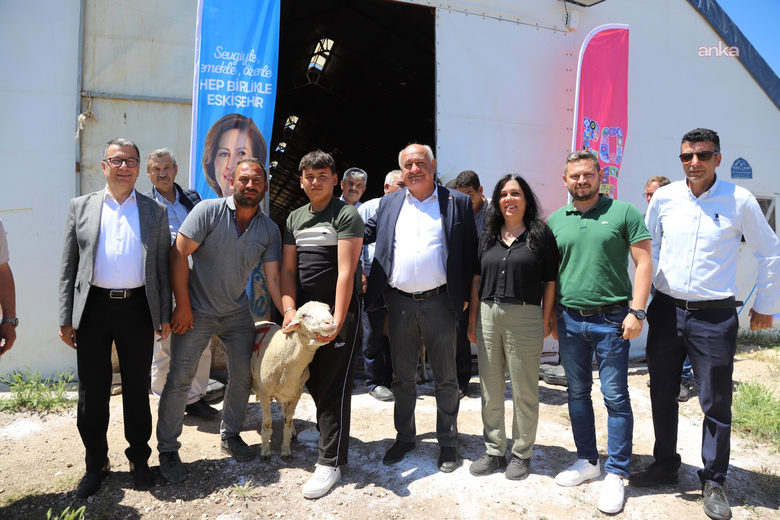 Eskişehir Büyükşehir Belediyesi ağılında yetişen damızlık koçlar sahiplerine teslim edildi