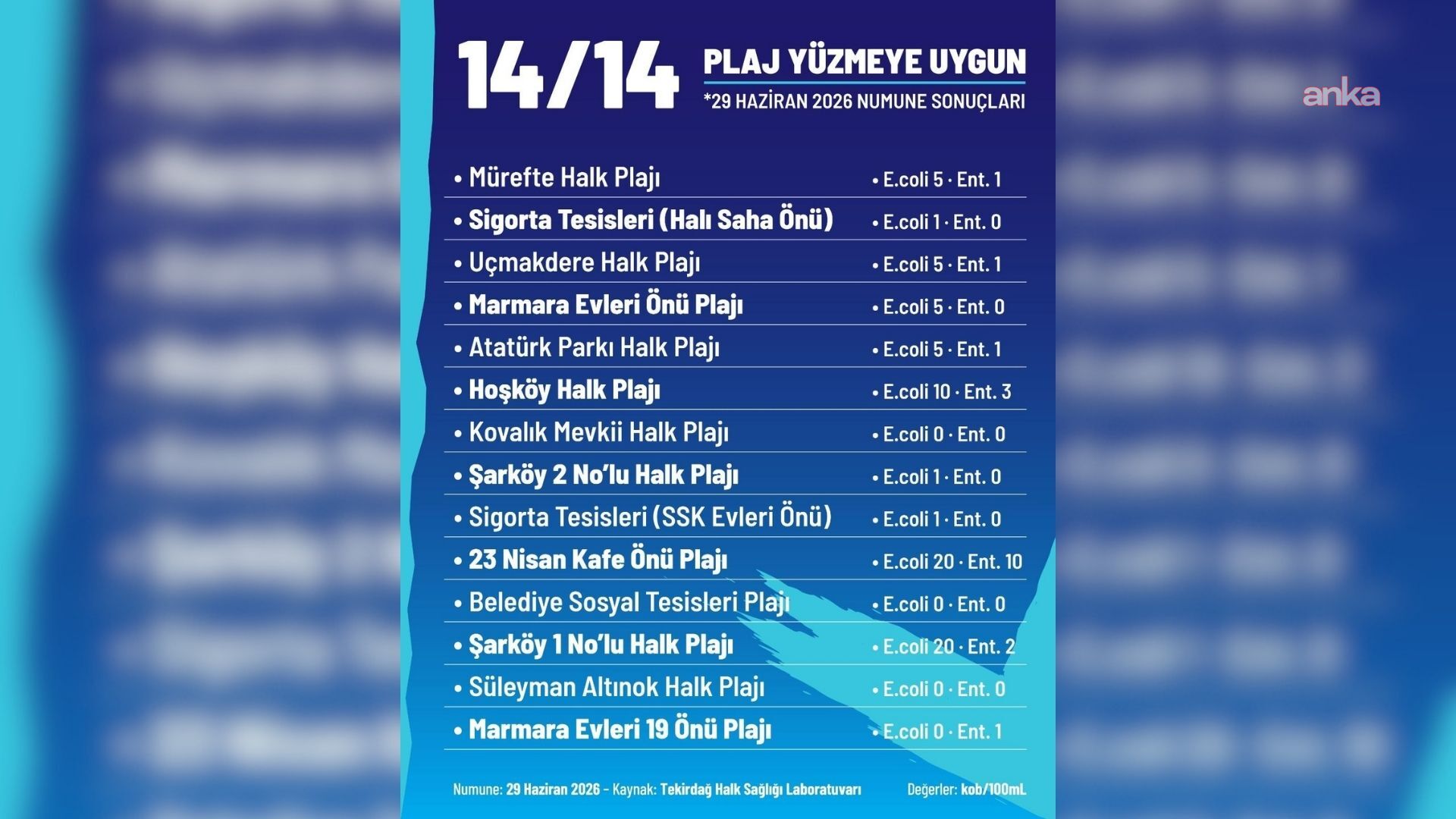 Tekirdağ Şarköy'deki 14 halk plajının "yüzmeye uygun" olduğu tespit edildi