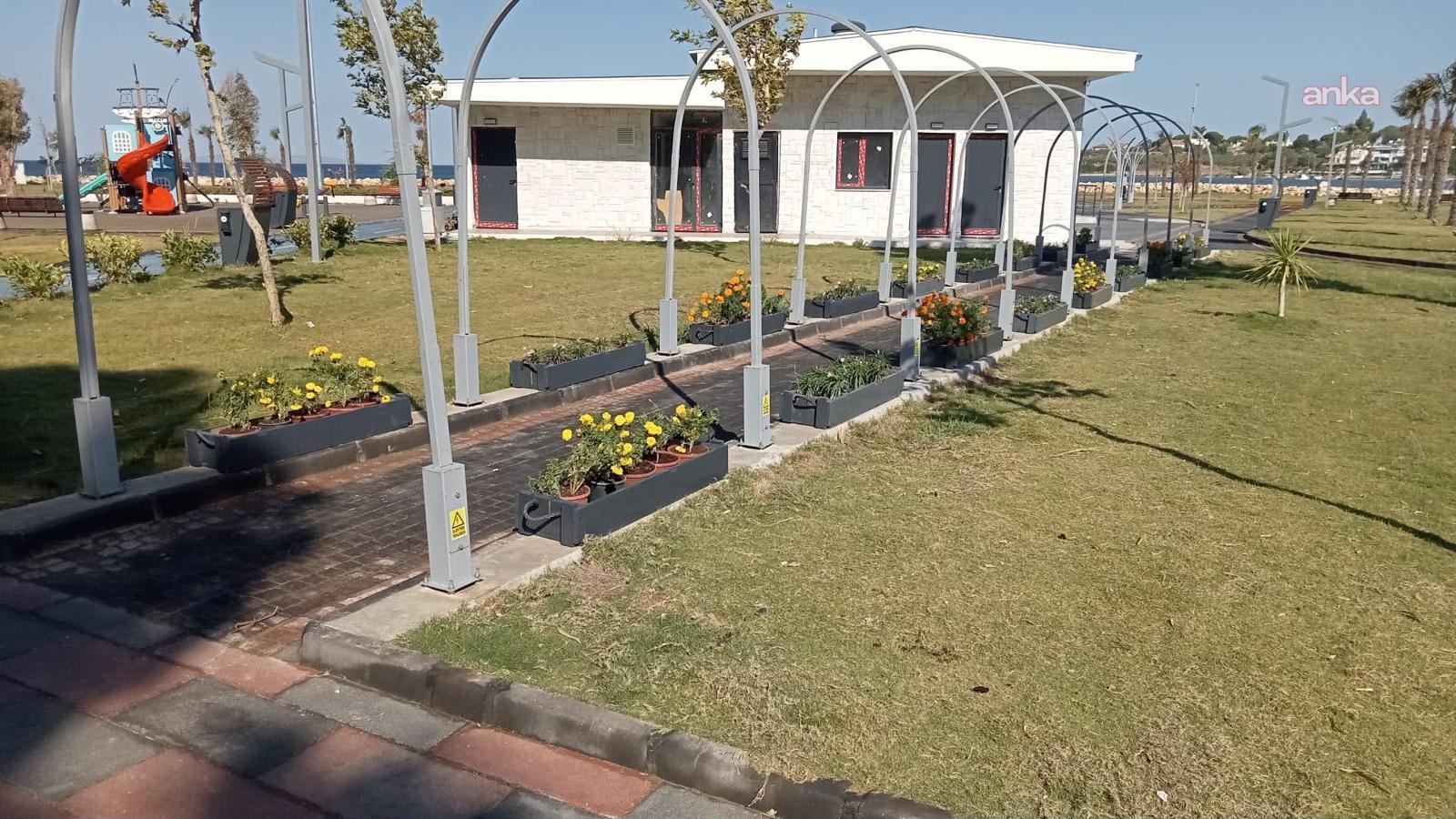 Didim Belediyesi’nin yetiştirdiği bitkiler ilçedeki yeşil alanlarda kullanılıyor