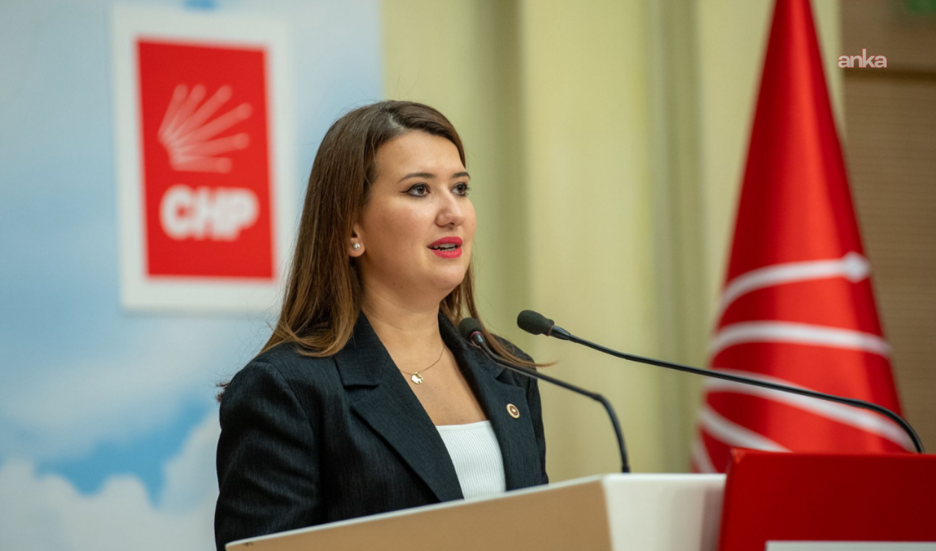 Gökçe Gökçen'den hakkındaki iddialara yanıt: O yazıyı ben yazmadım