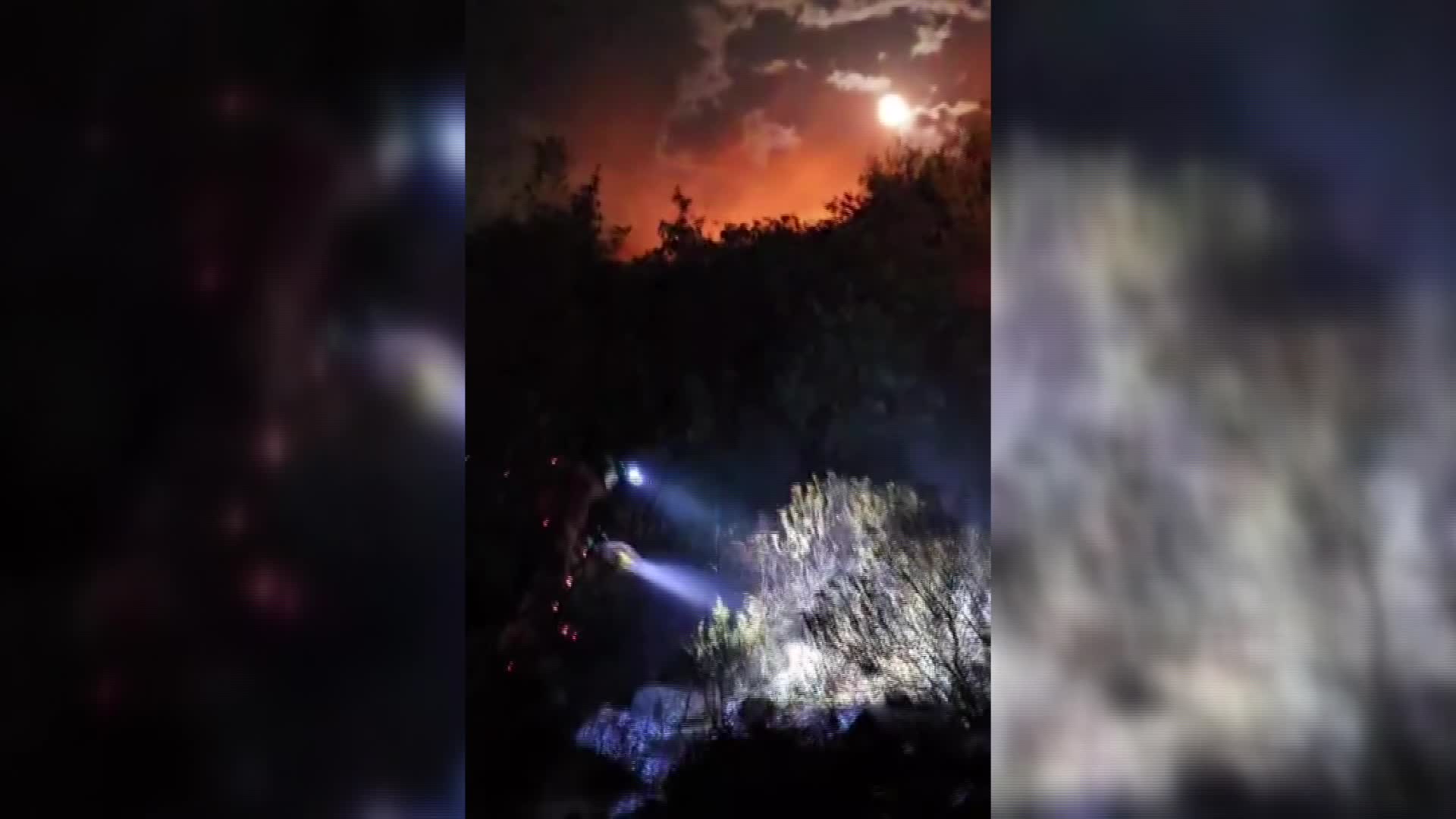 İzmir’in Dikili ilçesinde yangın