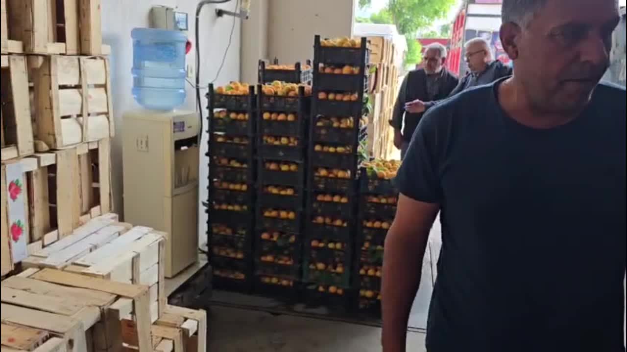Atça ovasında tarım işçisi de üretici de kazanamadığını söylüyor