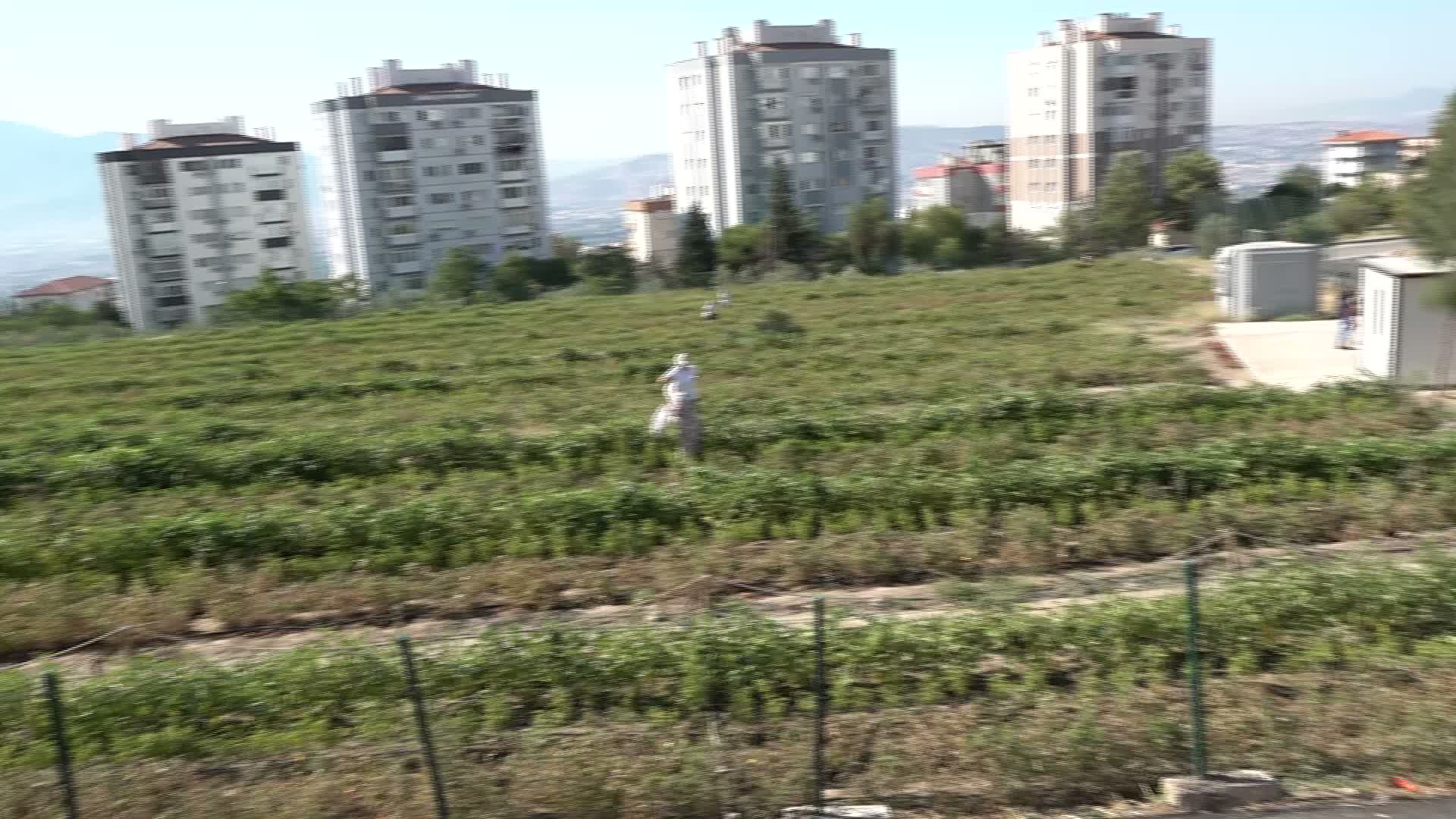 Bornova Belediye Başkanı Eşki, Kent Bostanı’nda üretici kadınlarla buluştu