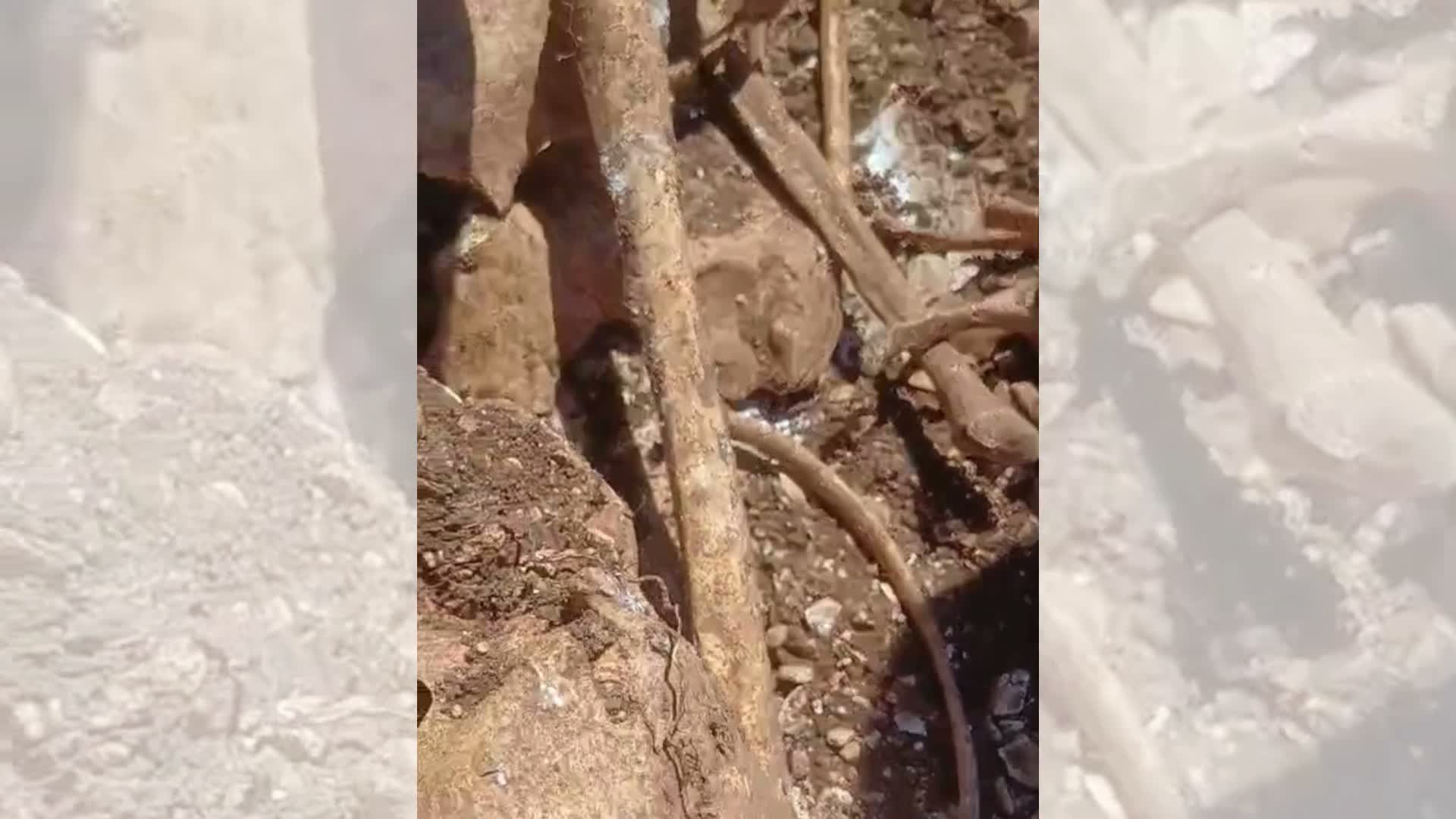 Hekimhan'da TOKİ temel kazısında insana ait olduğu değerlendirilen kemik ve kafatası parçaları bulundu