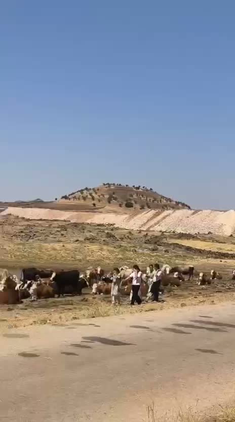 Mardin’de GES direnişi sürüyor... Köylüler kalan son meraları için nöbette
