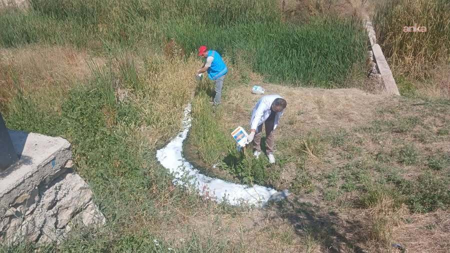 Kahramankazan genelinde ilaçlama çalışmaları sürüyor