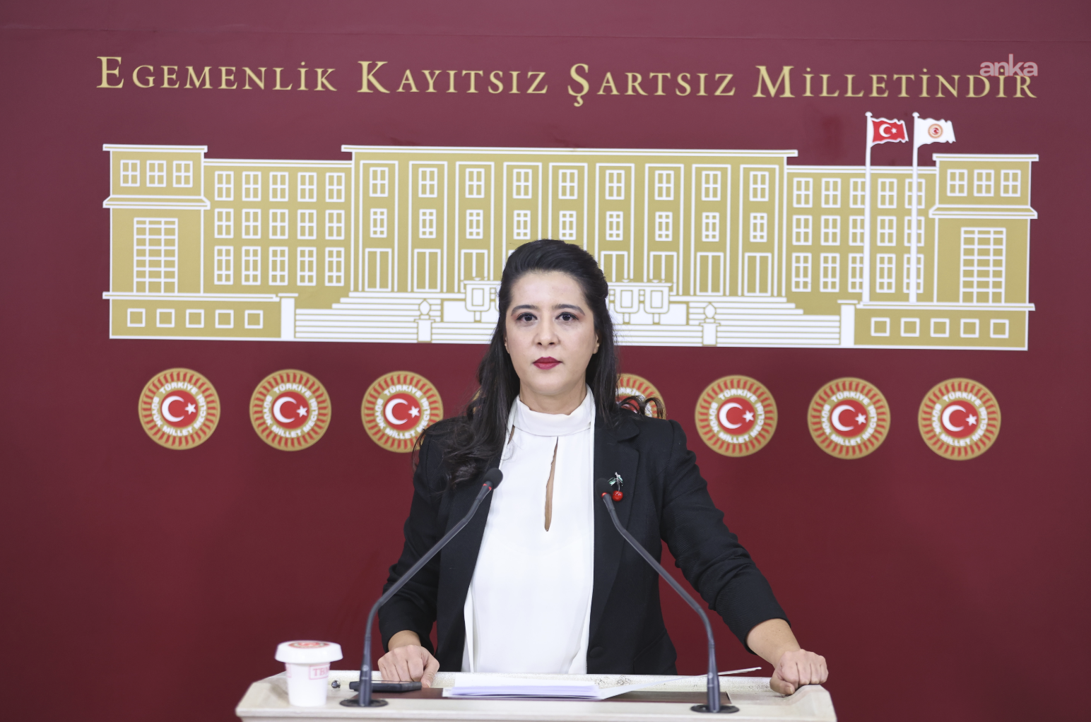 EMEP’li Karaca, üniversite öğrencisi Meliha Keskin cinayetini TBMM gündemine taşıdı
