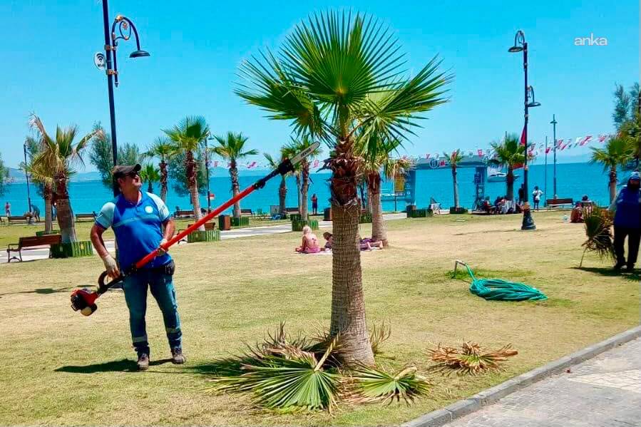 Didim Belediyesi, çevre düzenleme çalışmalarını sürdürüyor