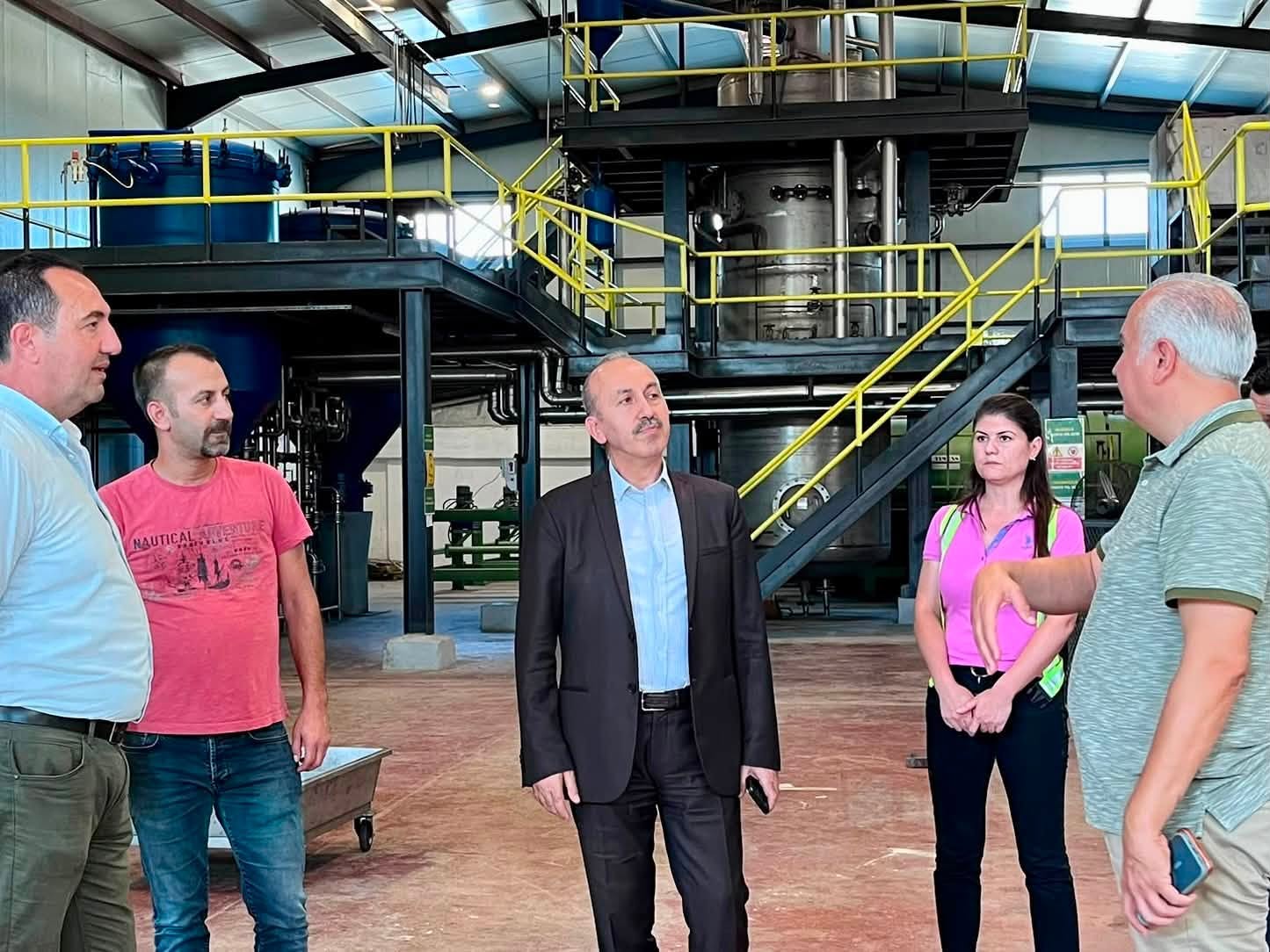 Balıkesir zeytin hasadına hazırlanıyor