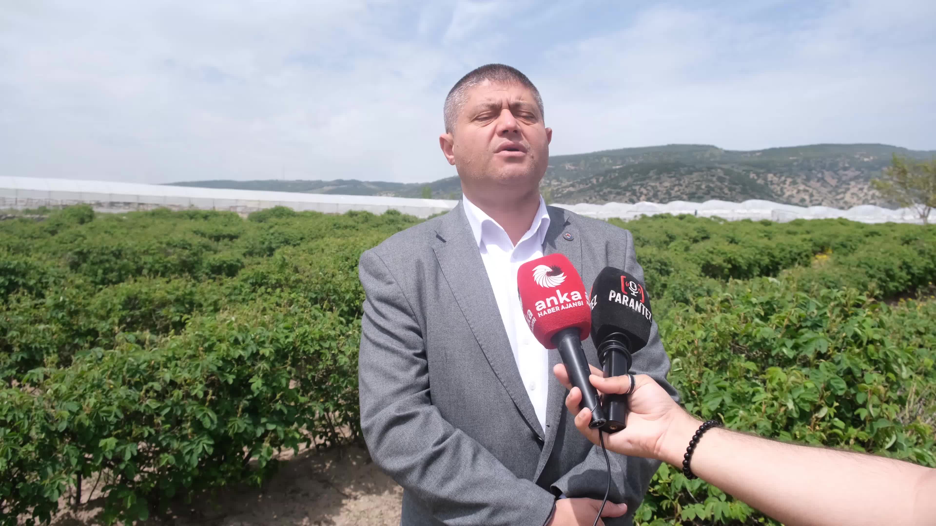 Isparta Ziraat Odası Başkanı Selçuk: "Gülde 80 liralık taban fiyat çok düşük”