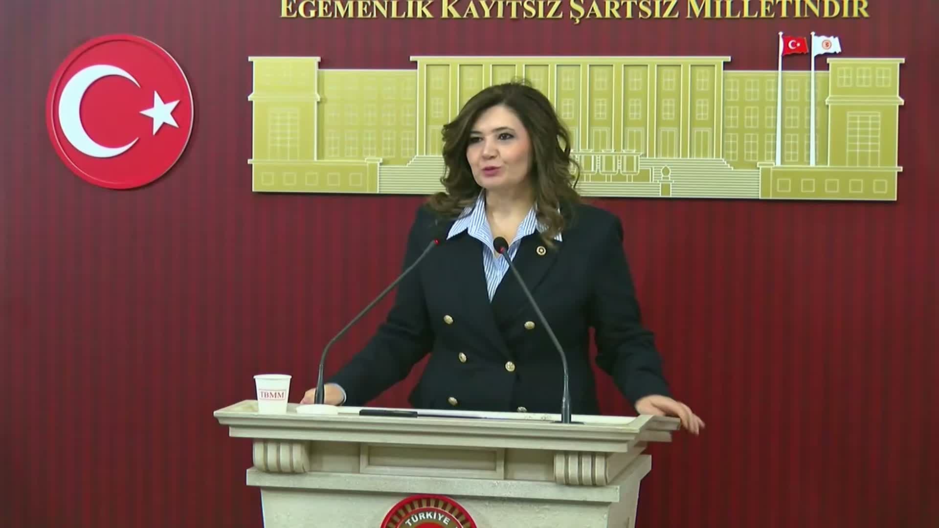 İYİ Partili Taşcı: "Basın özgürlüğünün gasp edilmesinin Türkiye'nin yeni normali olmasını kanıksatmayacağız"