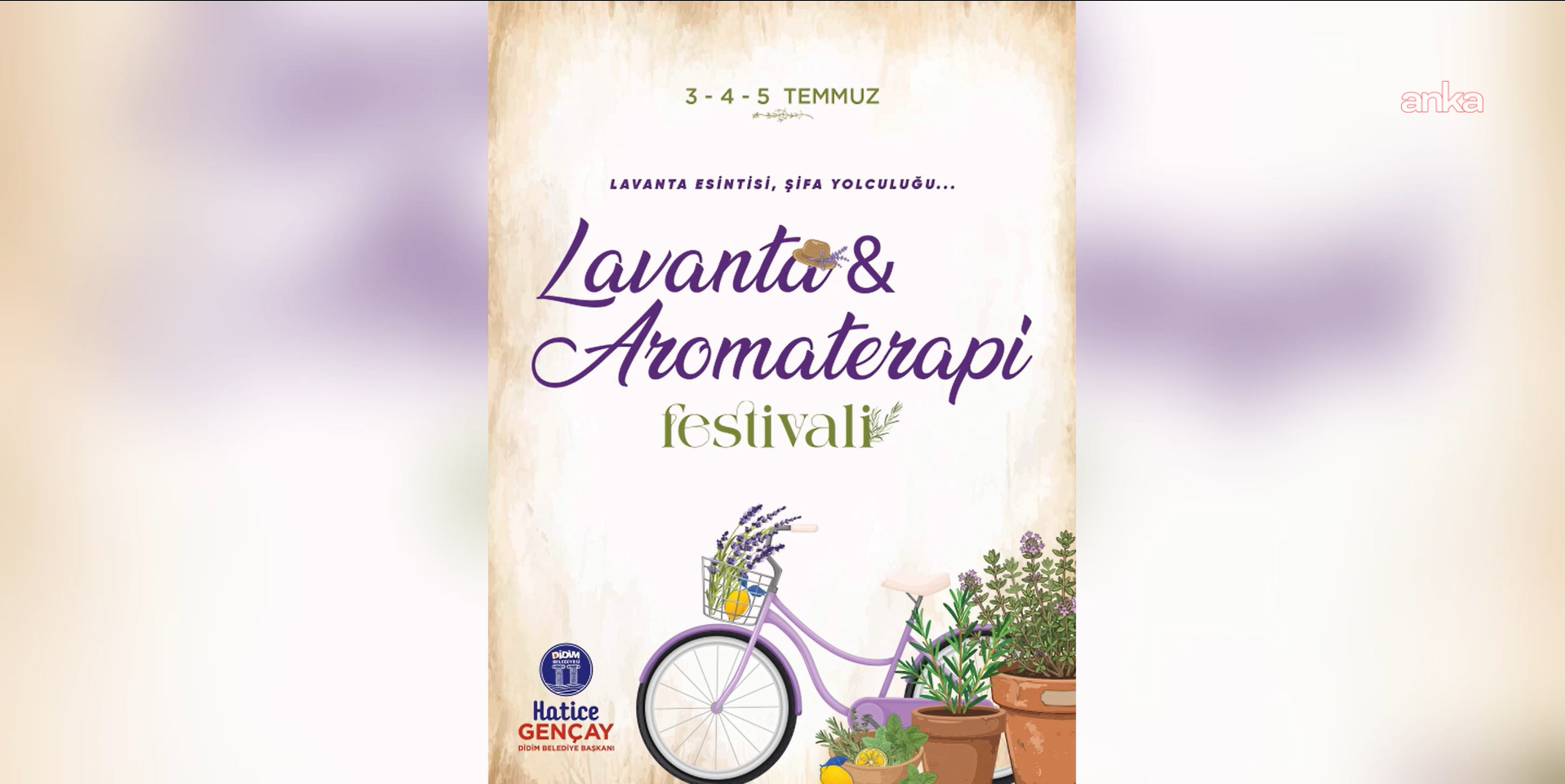 Didim Lavanta ve Aromaterapi Festivali başlıyor