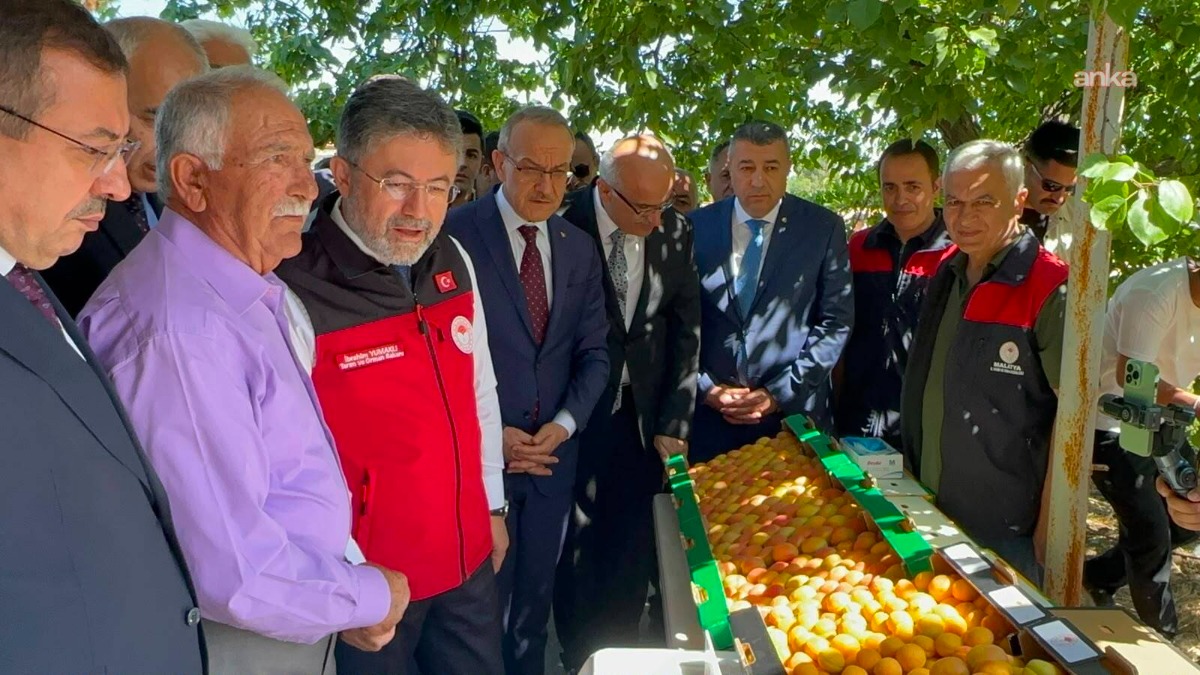 Geçen yıl umudun olmadığı bahçede bugün yüzümüz gülüyor