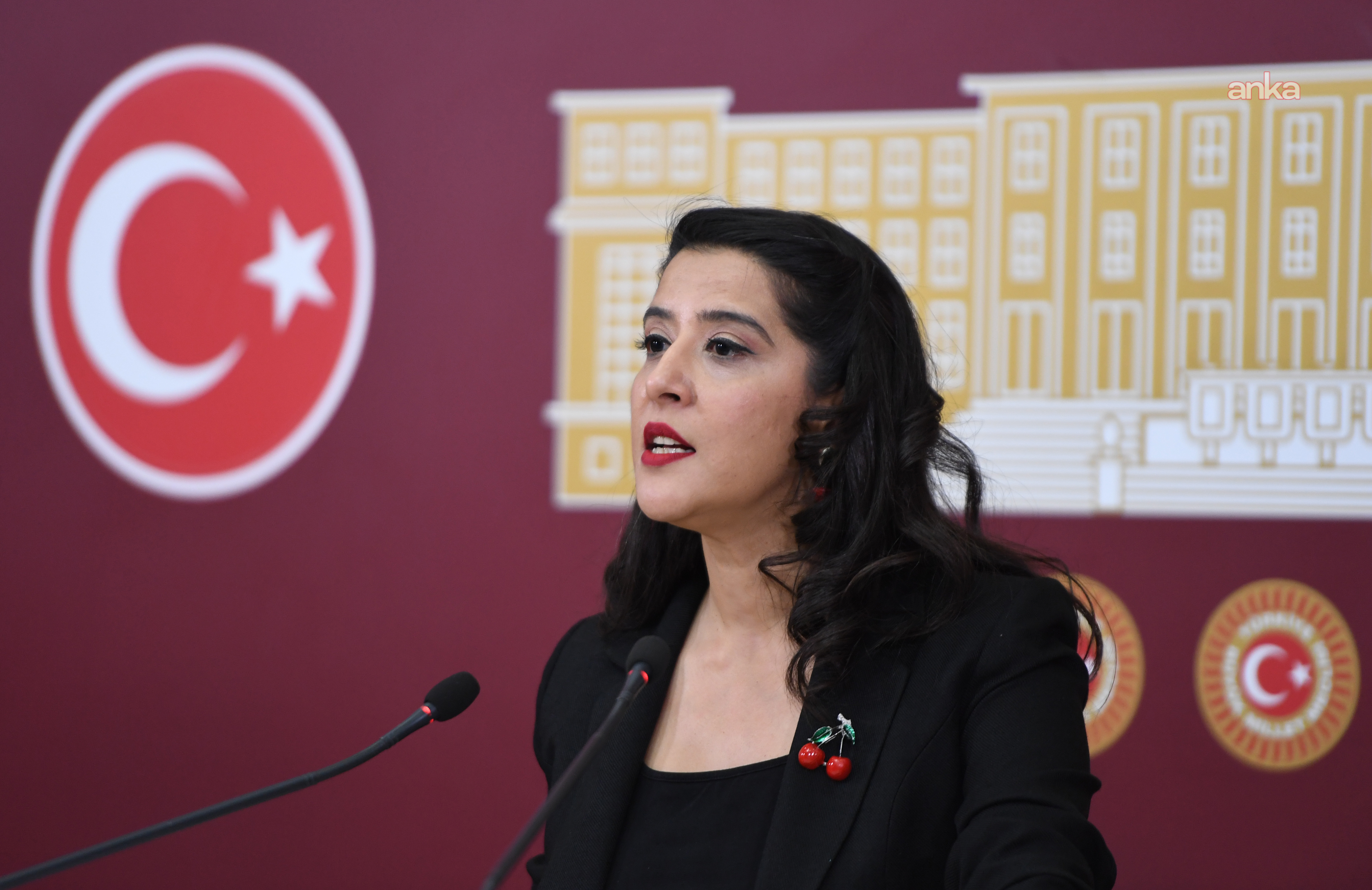 EMEP'li Karaca, asgari ücretle geçinemeyen 3 çocuk babasının, ötanazi için valiliğe başvurmasını TBMM gündemine taşıdı