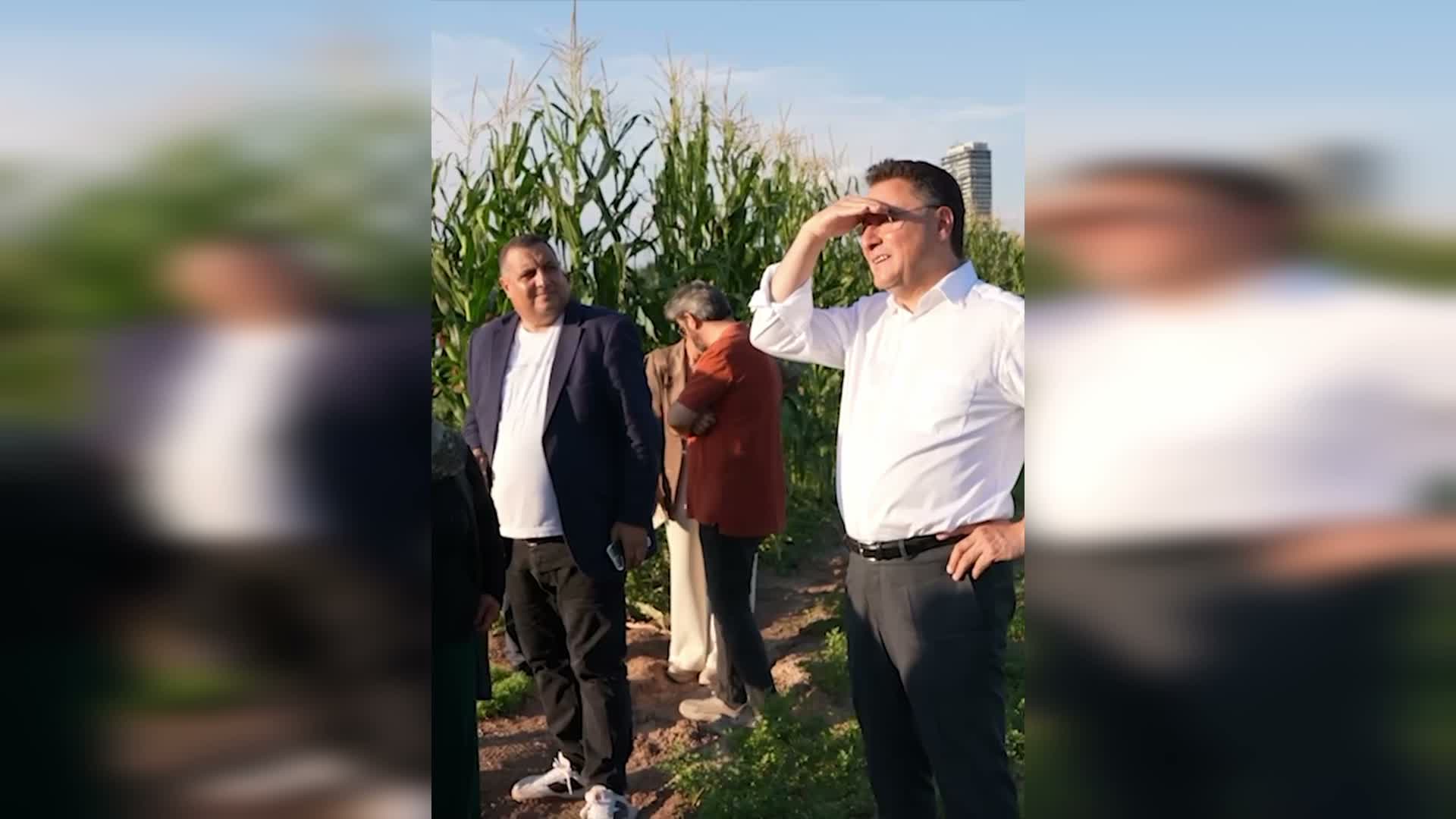 Ali Babacan'dan üretimi bırakacağını söyleyen çiftçiye: "Şehirlerde bir metrekare toprak bile boş kalmamalı, milli servettir"