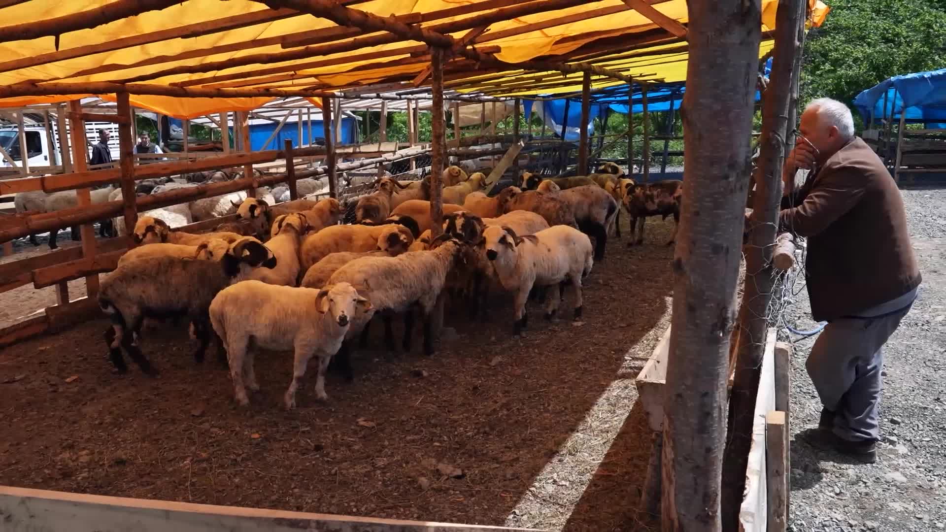 Ortahisar Belediye Başkanı Kaya’dan Kurban Satış ve Kesim Alanı’na ziyaret