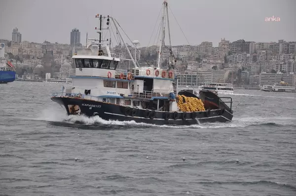 TÜİK: Su ürünleri üretimi 2025'te yüzde 11,1 arttı