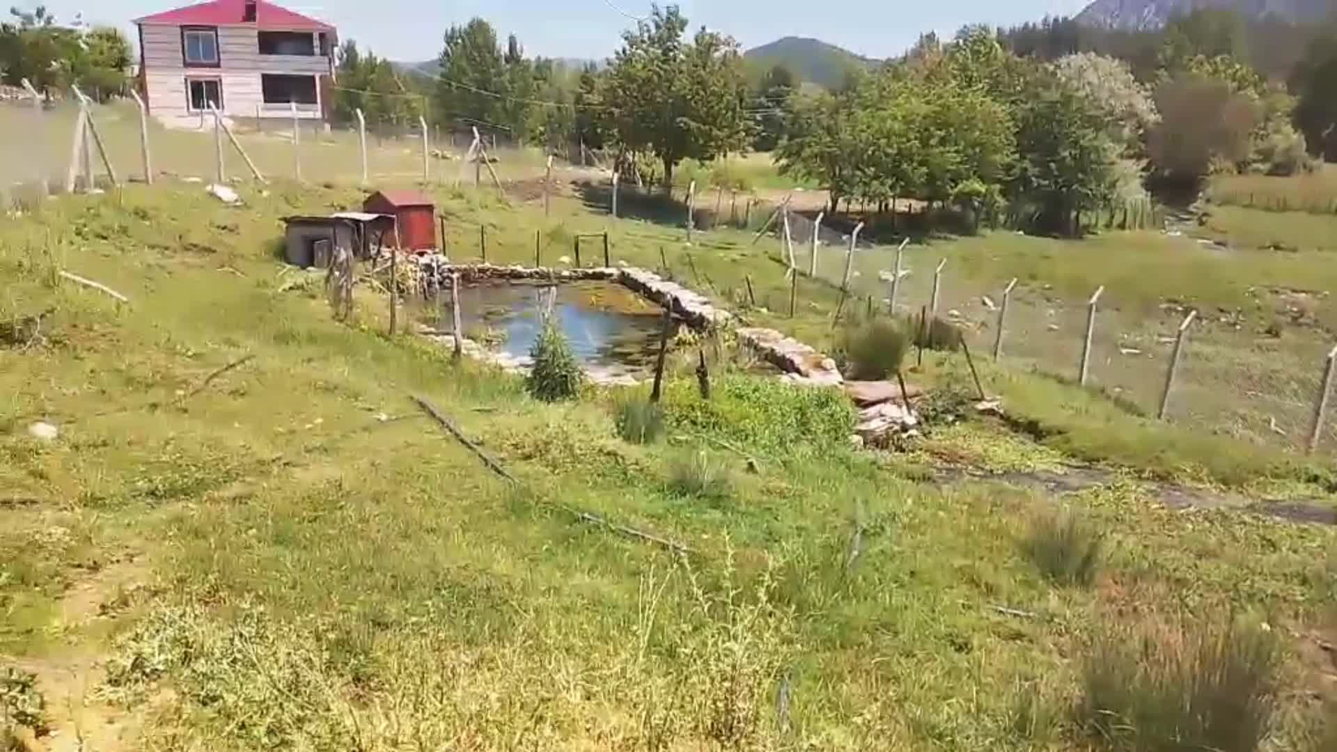 Andırın'ın Rıfatiye Mahallesi sakinleri içme suyu tesisinde hijyen koşullarının sağlanmasını istiyor