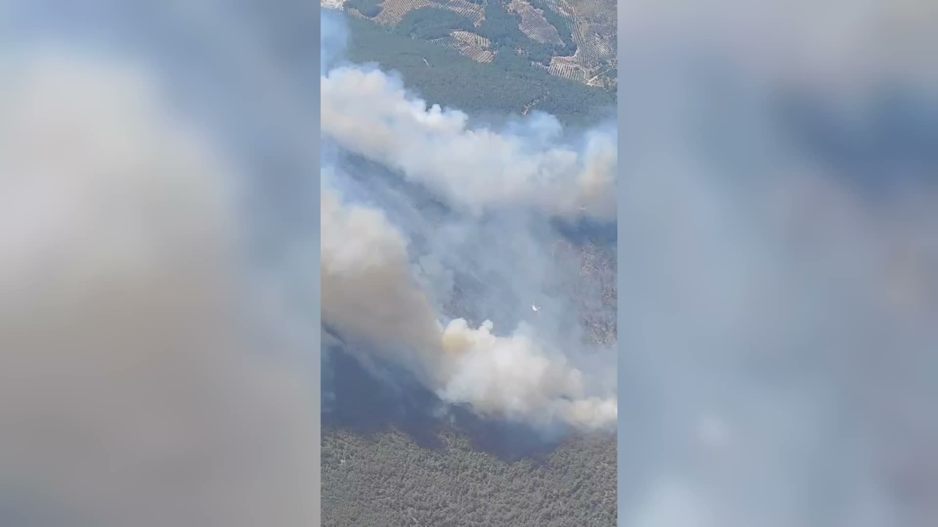 Manisa Akhisar’da orman yangını