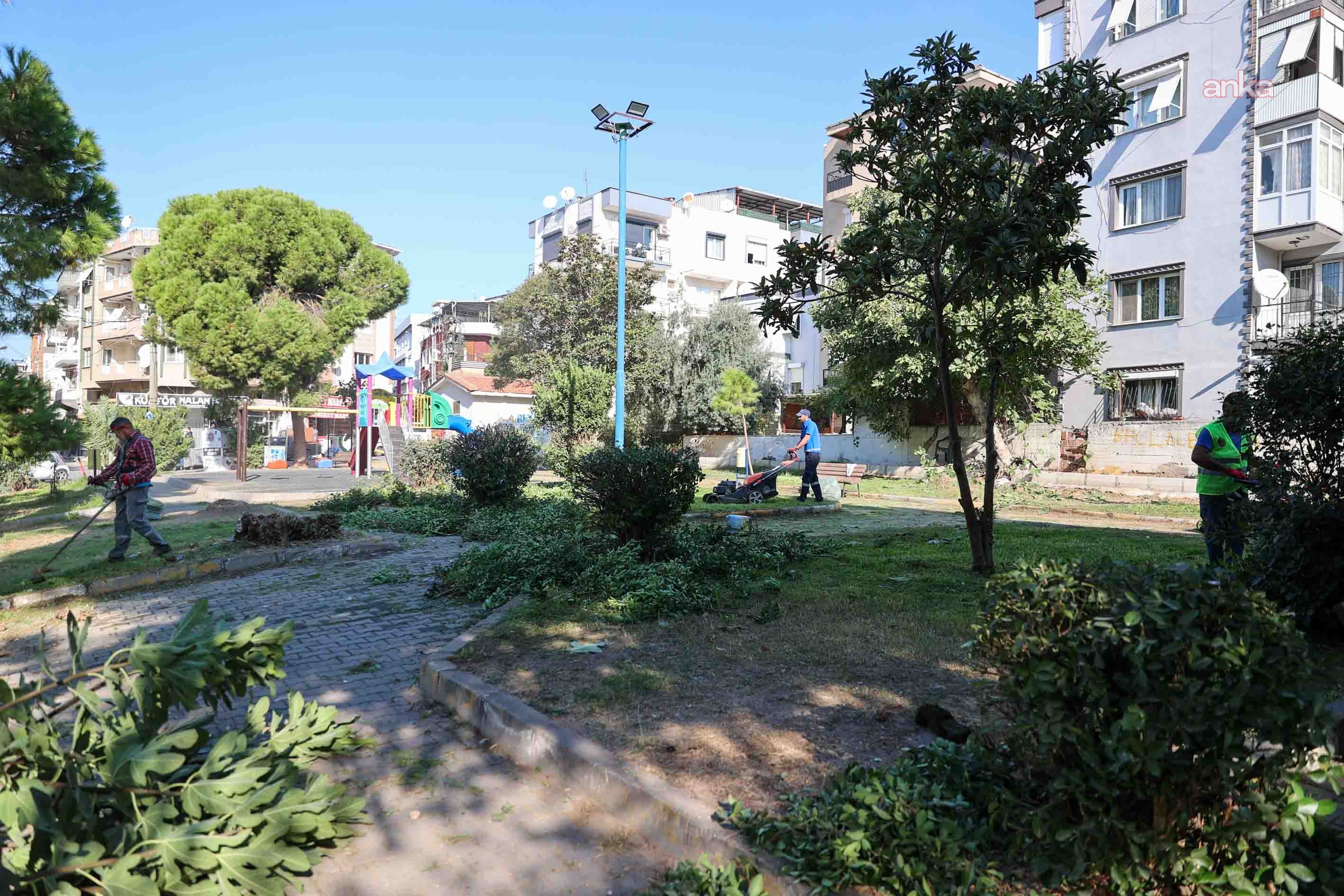 Buca’nın yeşil alanlarına sonbahar bakımı
