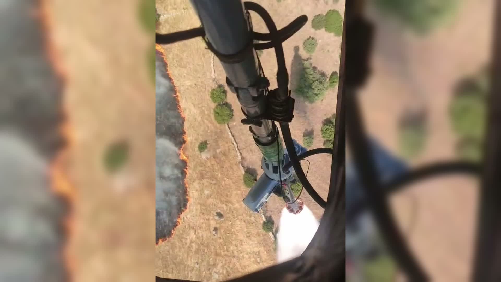 Aydın Efeler’deki yangın kontrol altına alındı... 2 hektar alan zarar gördü