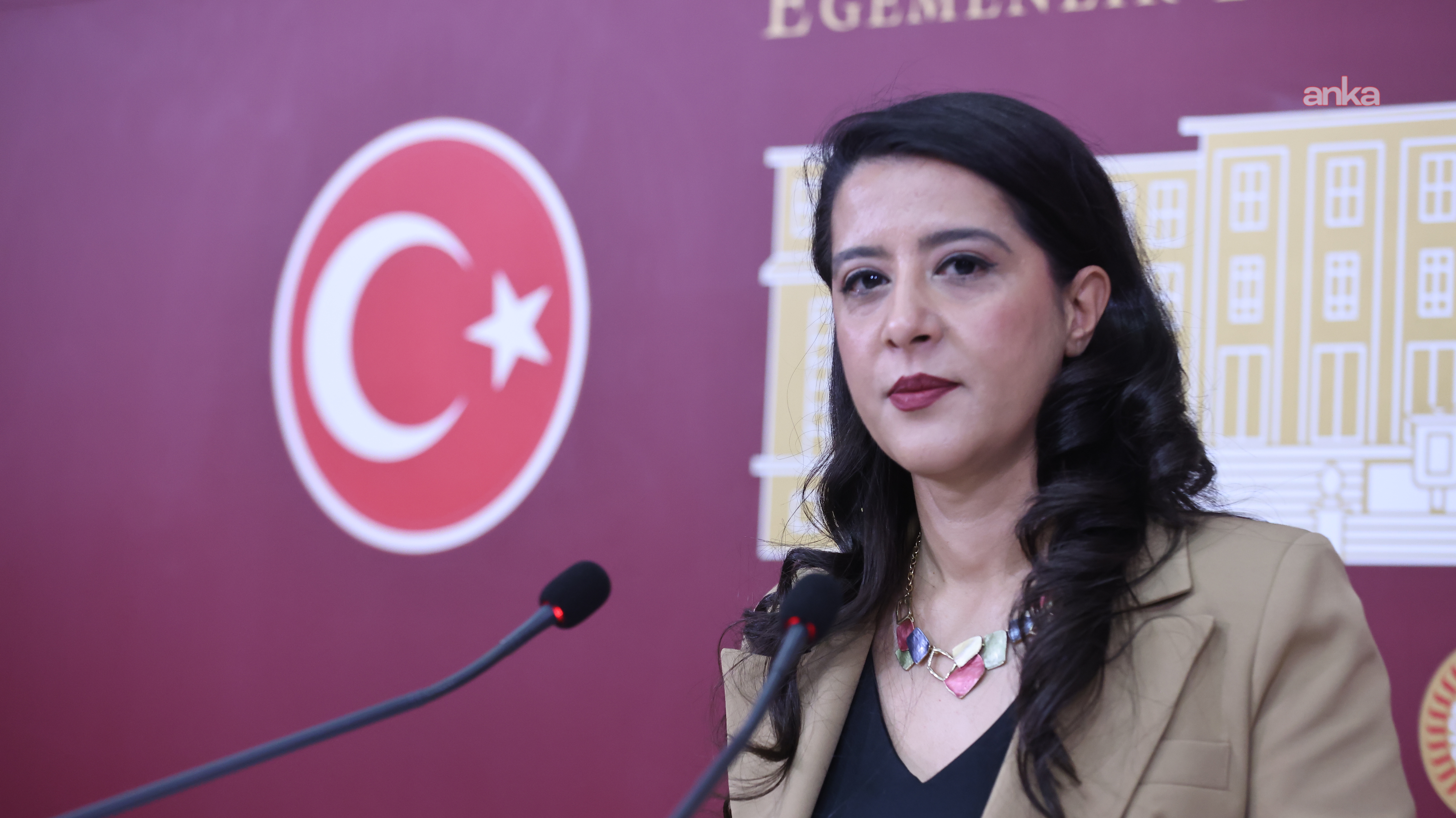 EMEP'li Sevda Karaca: Devletin görevi nafaka hakkını gasp etmek değildir