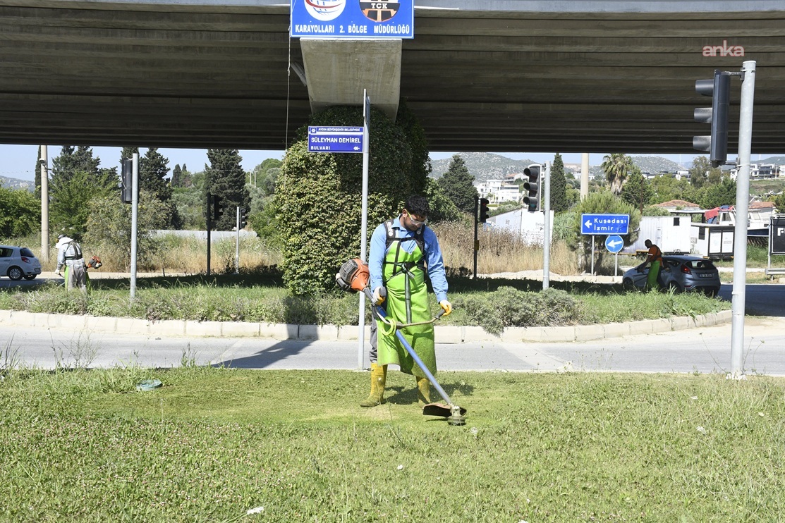 Kuşadası Belediyesi'nden kent estetiğine yeşil dokunuş
