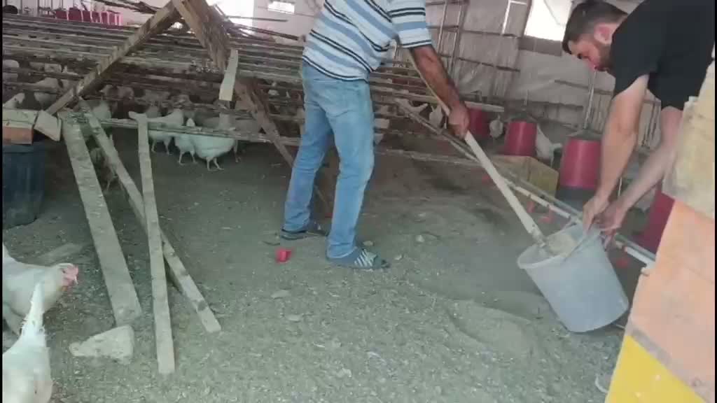 Adıyaman Belediyesi’nden doğal tarımda yeni dönem: Tavuk gübresi ile verim katlandı