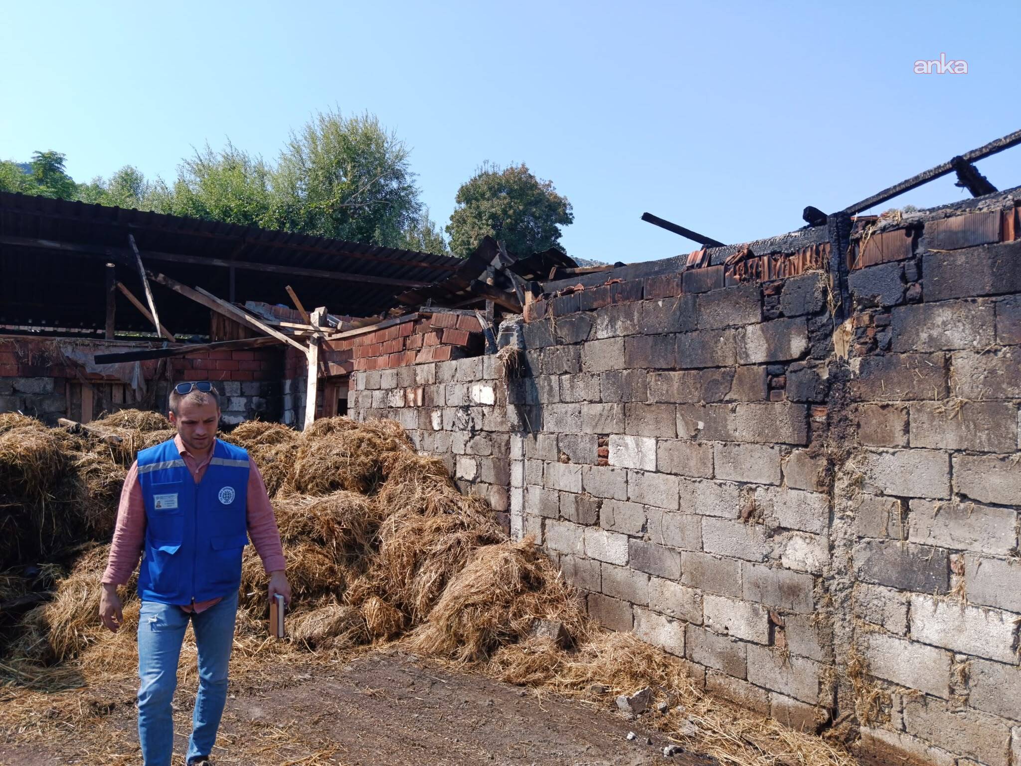 Muğla Büyükşehir Belediyesi'nden yangından zarar gören üreticiye destek