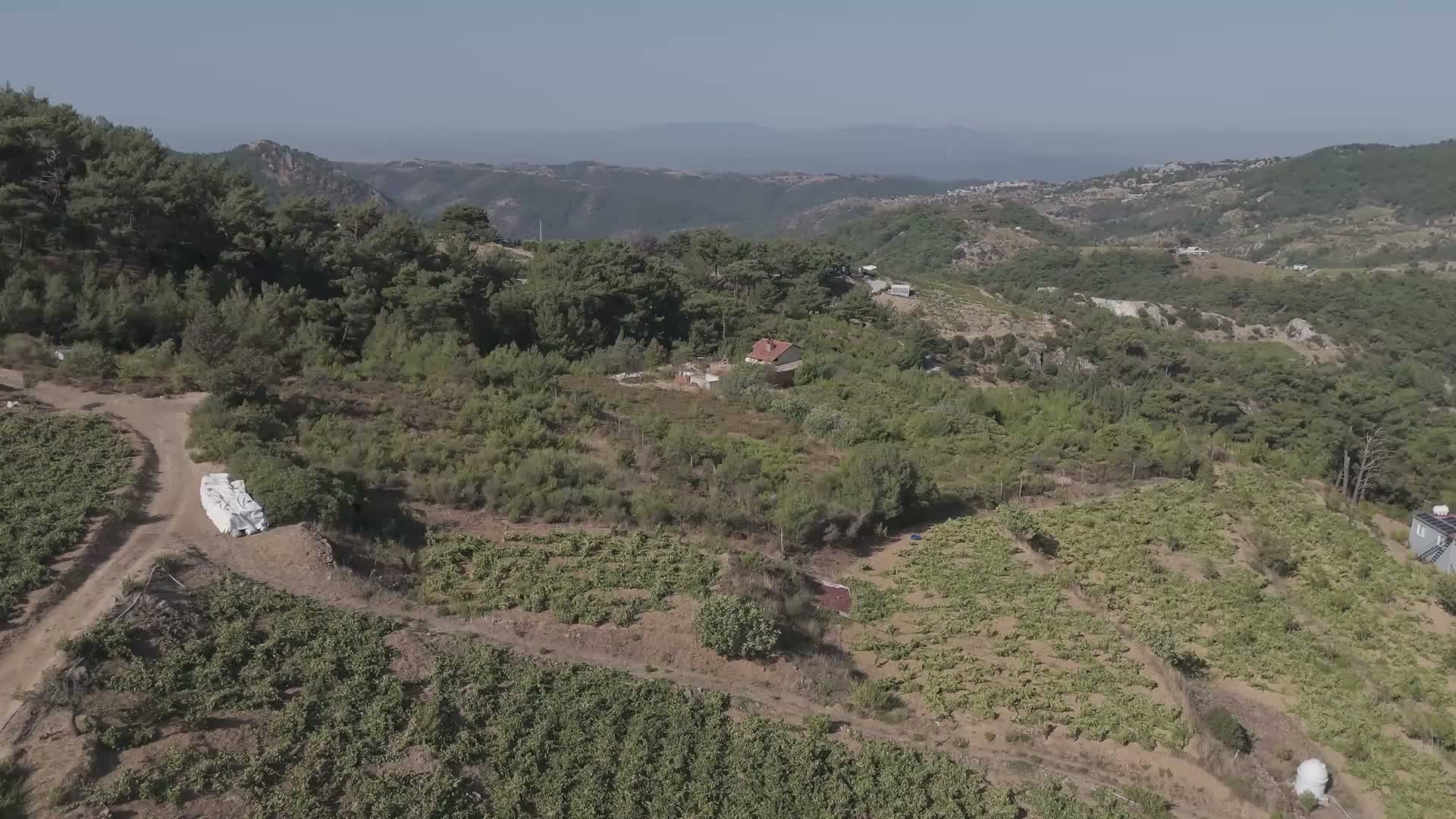 14. Kavacık Üzüm Festivali 19-20 Eylül’de düzenlenecek