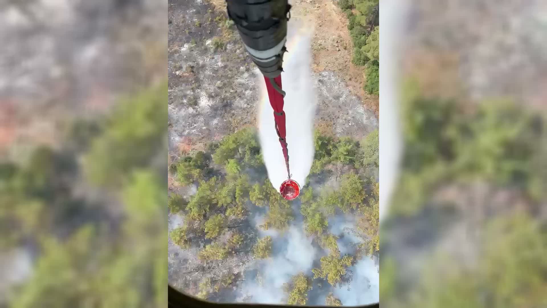 Muğla'da ziraat alanında başlayan yangın ormanlık alana sıçradı