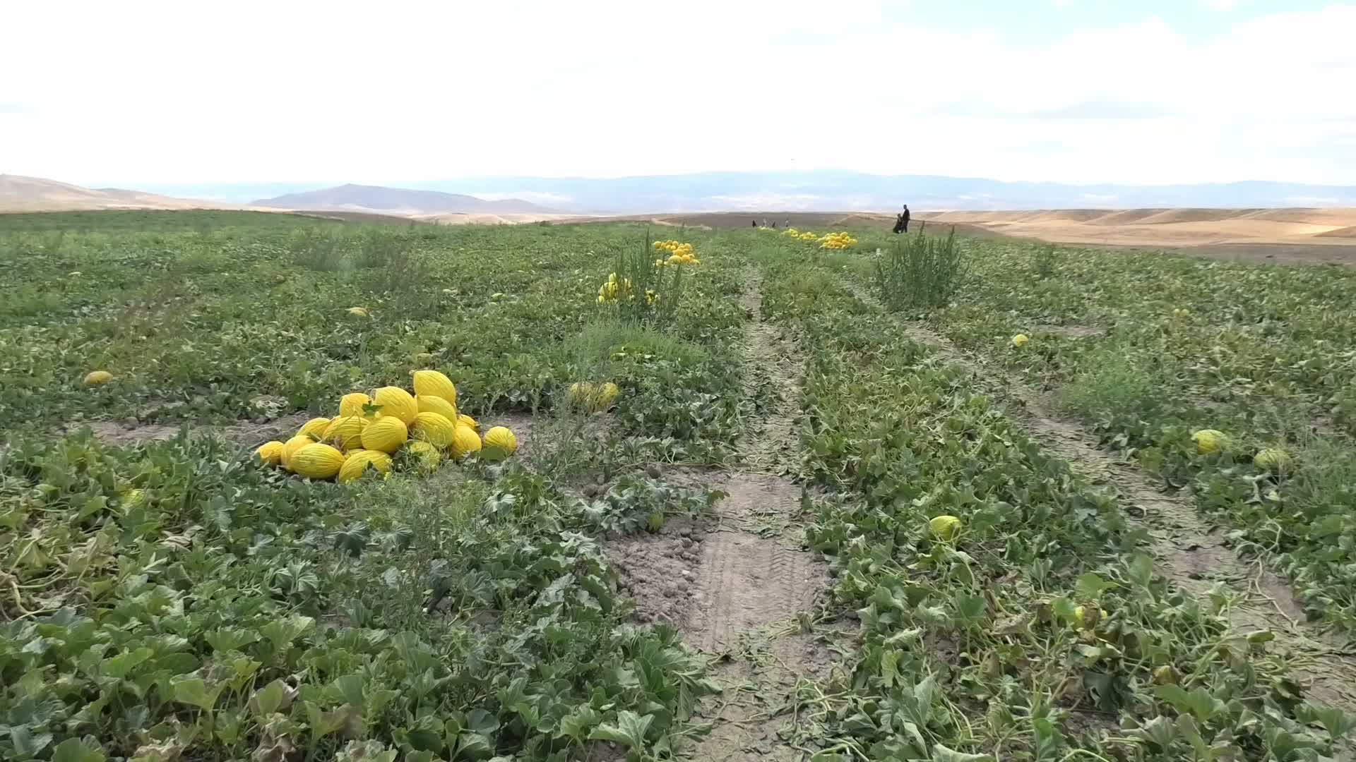 "Market bizden 10 liraya alıyor, 30 liraya satıyor"