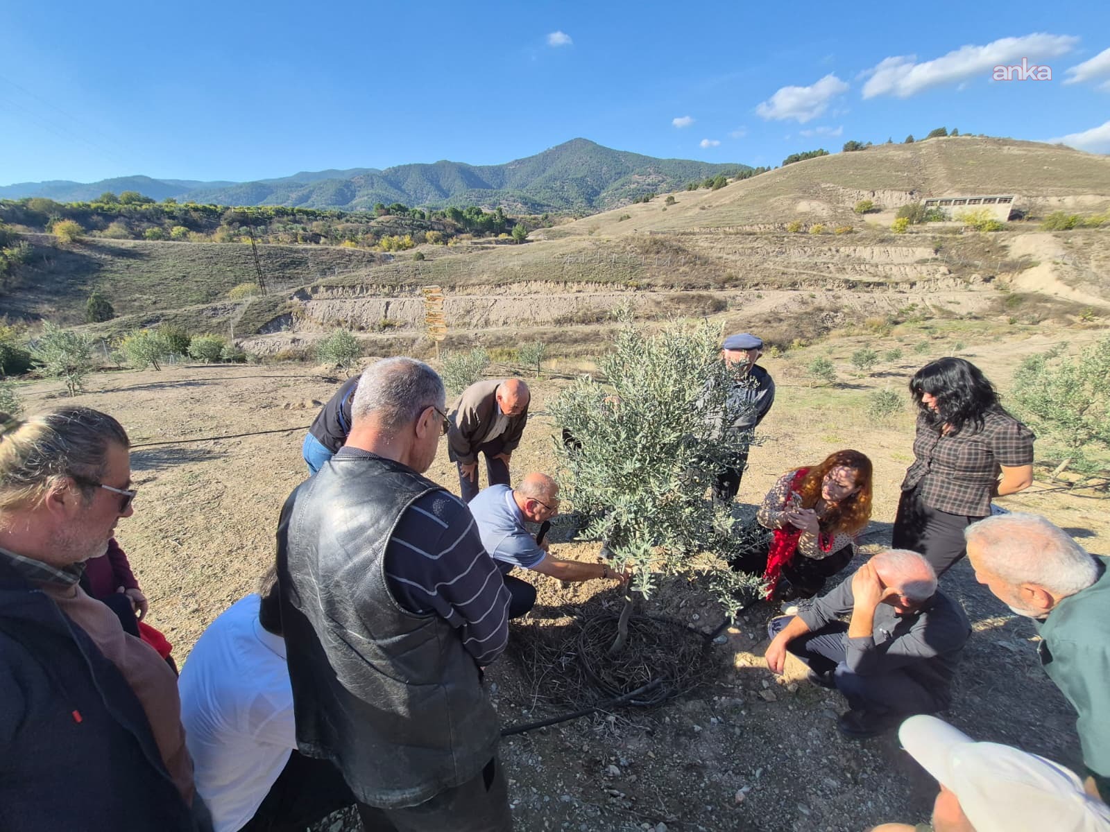 Eskişehir Büyükşehir Belediyesi'nden zeytin üreticilerine uygulamalı eğitim