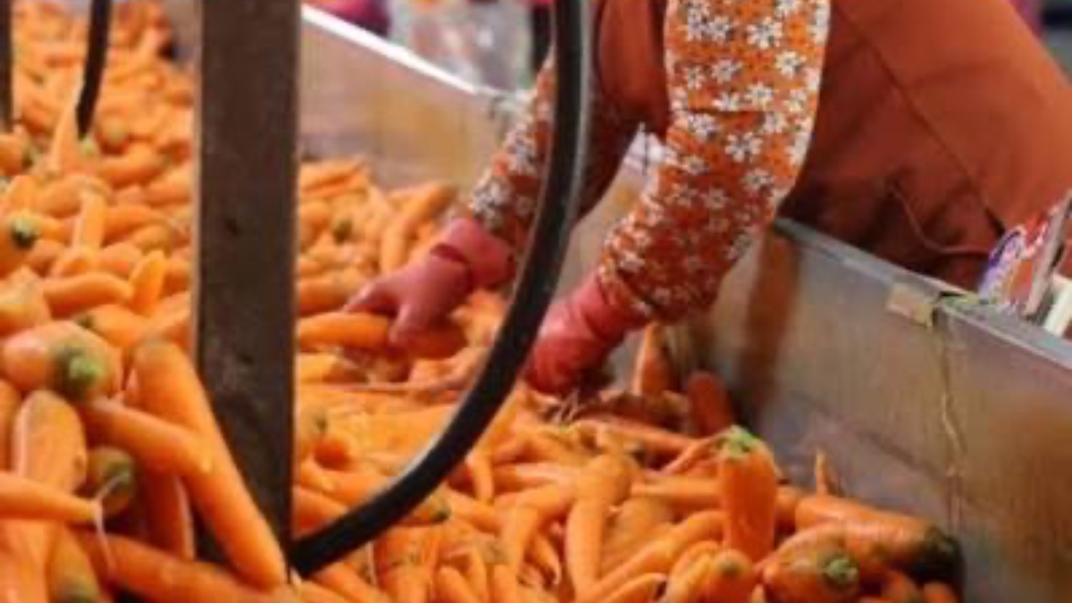 Üretici ile market arasındaki fiyat farkı en fazla havuçta görüldü