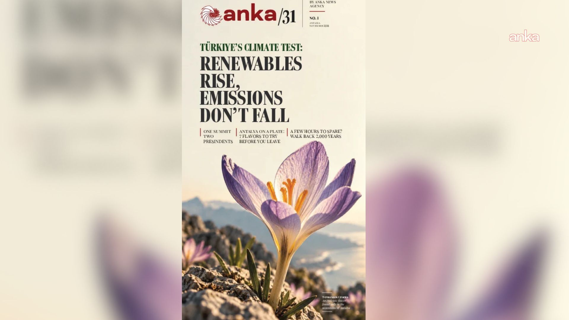 ANKA'dan COP31'e özel yayın: ANKA31'in ilk sayısı çıktı