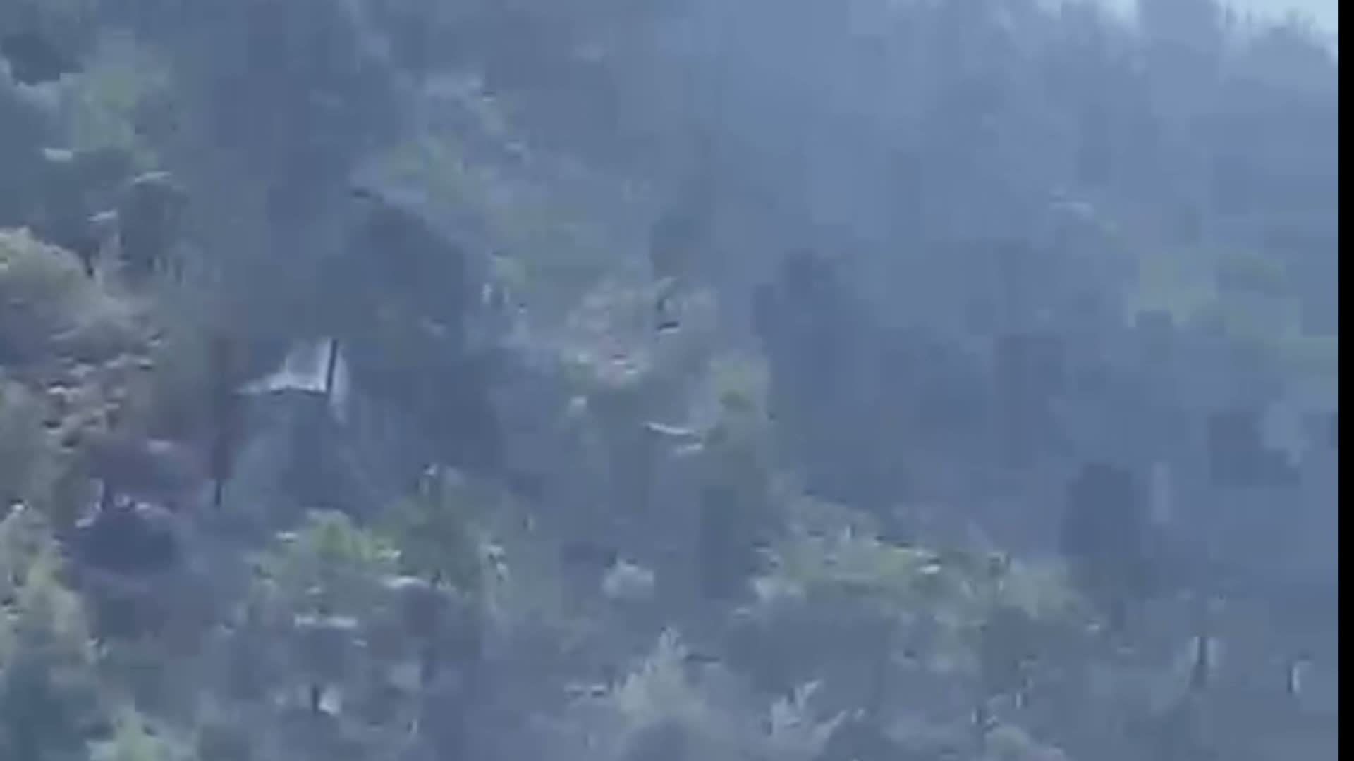 Mersin'in Aydıncık ilçesinde orman yangını