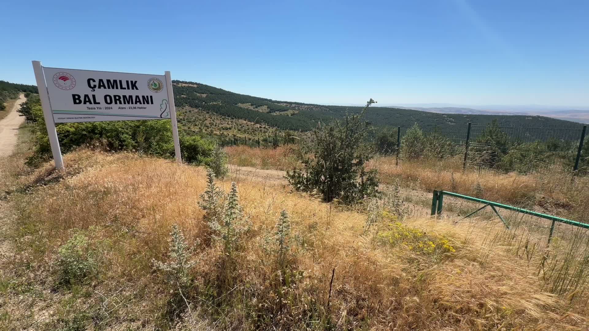 Yozgat’ta arıcılar hasat için hazırlanıyor