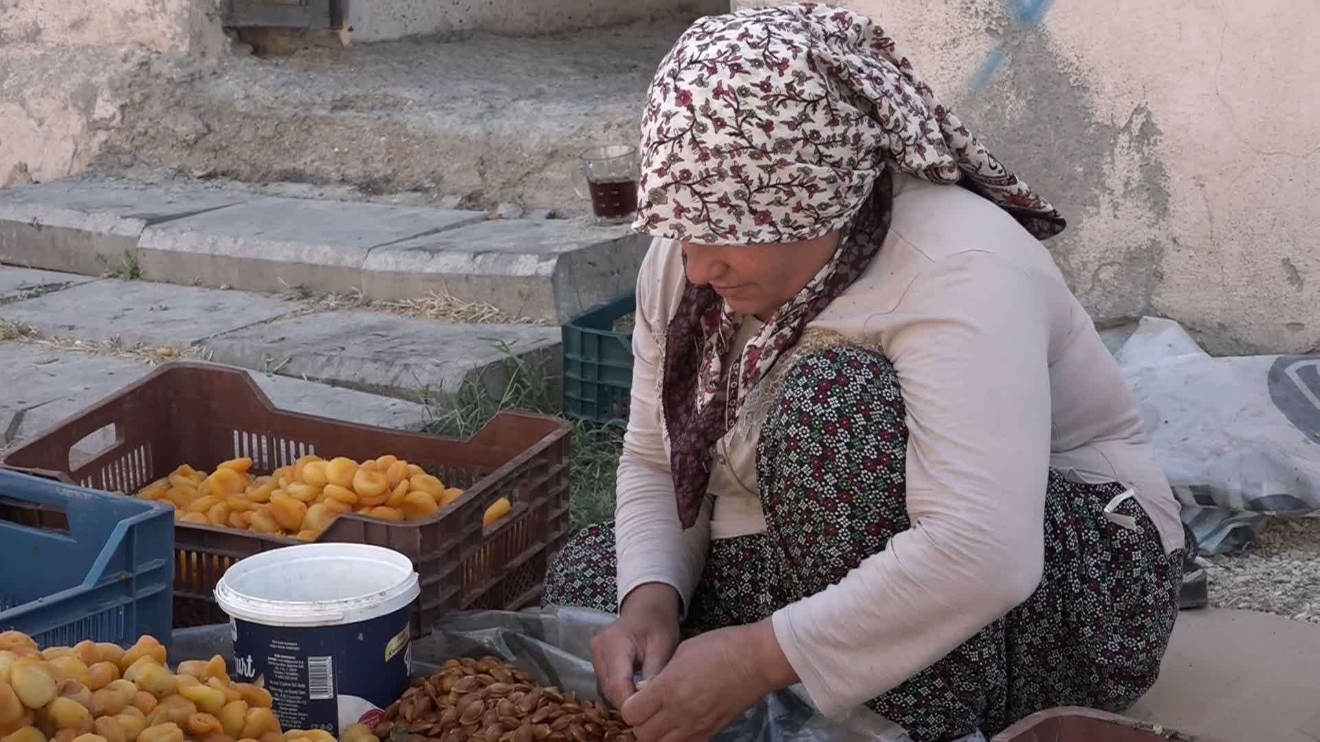 Malatyalı kayısı üreticisi maliyet ve düşük fiyat kıskacında