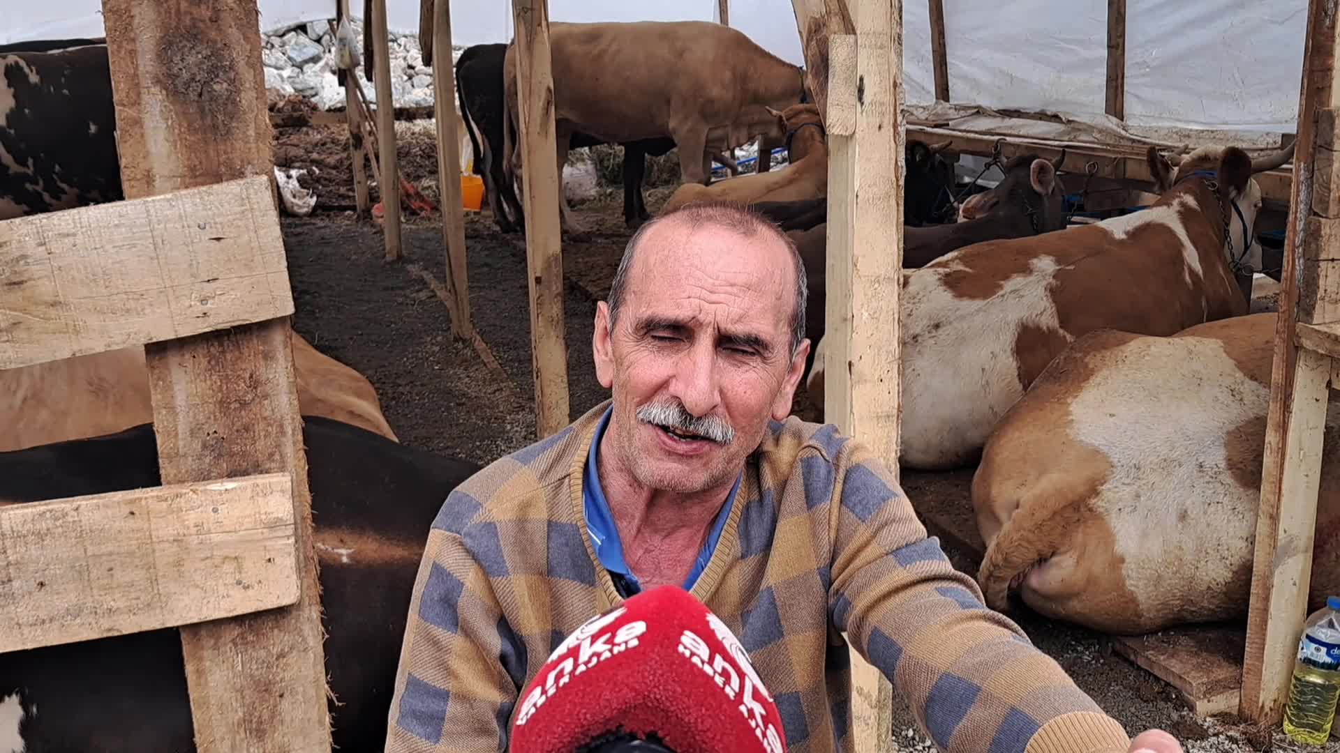 Hopa Kurban Pazarı’nda üretici dertli: Giderlerimizi bile çıkaramıyoruz