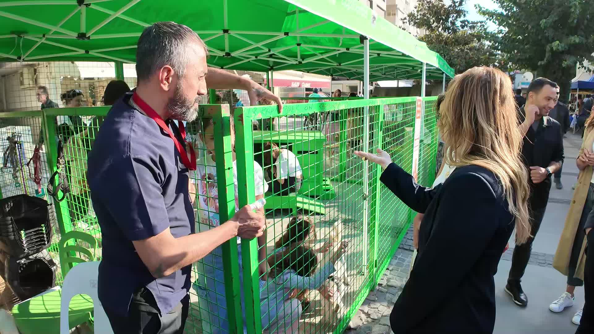 Konak’ta "Patilerin Festivali" 7’nci kez İzmirlilerle buluştu: Satın alma, sahiplen